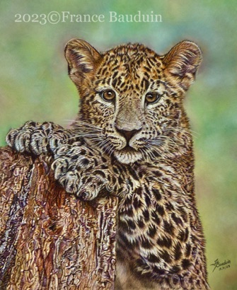 Play With Me - 77 hours
Sand Pastelmat Board
16" x 23"
Winner TWASI summer competition "New Life"